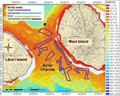 Quantifying Mesophotic Fish Assemblages of Hawai‘i’s Au‘au Channel: Associations With Benthic Habitats and Depth